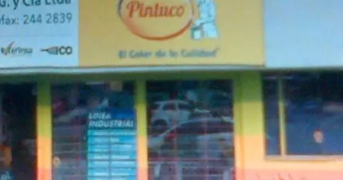 COMPANIA GLOBAL DE PINTURAS PINTUCO COMPANIA GLOBAL DE PINTURAS PINTUCO